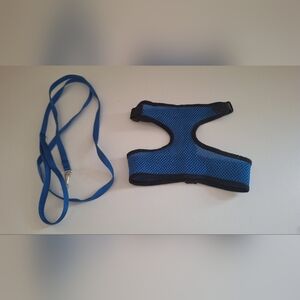 Small dog harness and leash (blue)